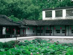 -上海醉白池公园