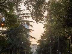 -四川大学(华西校区)