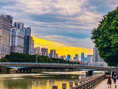 -光明港公园