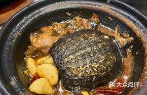 Stupid Turtle Soup