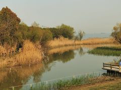 -上海吴淞炮台湾国家湿地公园