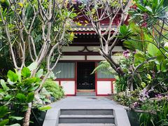 -新加坡佛牙寺龙华院