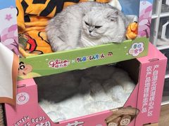 -山姆会员商店(亦庄创意生活广场店)