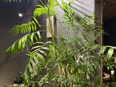 -邈墨茶馆(凤起路店)