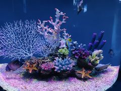 -上海海昌海洋公园