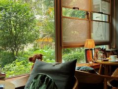 -咖法森林·咖啡  酒吧(天河店)