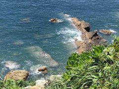 -杨梅坑