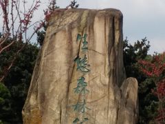 -昆山城市生态森林公园