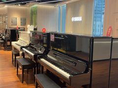 -知音艺术教育培训·钢琴培训·音乐培训(河西金鹰世界校区)