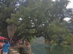 -上坦村