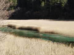 -九寨沟-树正沟