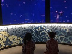 -沈阳海洋探索中心