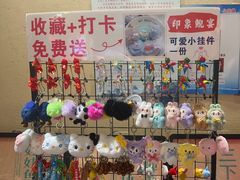 -印象鲵宴·张家界地标美食名片(溪布街店)