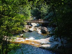 -大鄣山卧龙谷景区