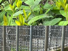 -上方山森林动物世界