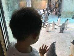 -大连圣亚海洋世界