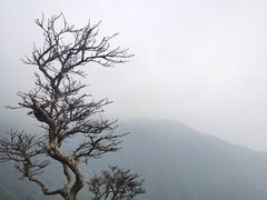-萍乡武功山风景名胜区