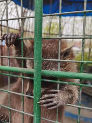 -萌宠亲子动物乐园(槐房万达店)