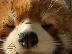 -潇湘码头·鲜湘菜(常营店)