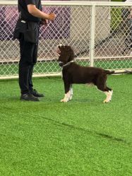 -酷嗒动物文化乐园(cutezoo西溪乐天城店)