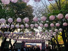 -金鸡湖桃花岛