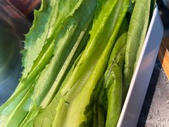 -骨气鼓气羊棒骨·羊蝎子(住总万科广场店)