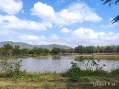 -亚龙湾国际玫瑰谷