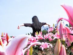 -丹樱生态园