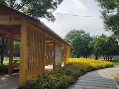 -太阳宫公园