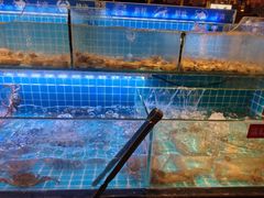 -韩京烤肉自助料理·特团享补贴(义乌之心店)