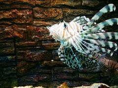 -北戴河圣蓝海洋公园