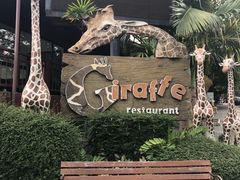 -清迈夜间动物园