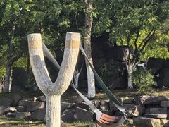 -观潮胜地公园