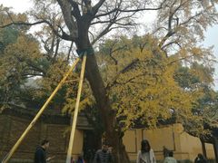 -无锡惠山寺