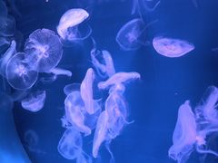 -福州罗源湾海洋世界旅游区