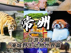 -常州淹城野生动物世界