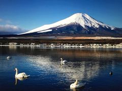 -富士山吉田線五合目