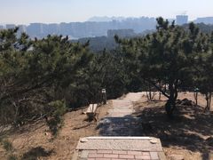 -北岭山森林公园