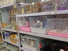 -钓仓鼠(洋桥北里小区店)