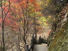 -洛阳白云山景区