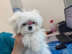 -美迦爱-牙专科·兔科·骨科诊疗中心(北苑店)