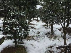 -溪口-滕头旅游景区