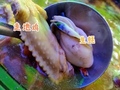滋补汤底-花苑美食横琴生蚝火锅(拱北粤华路店)