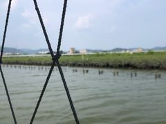 -盐洲岛