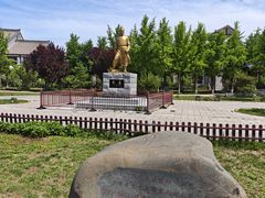 -赵州桥景区