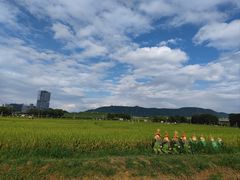 -光明小镇欢乐田园