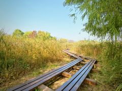 -西溪国家湿地公园