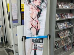 -秋叶原电器街