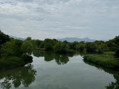 -西溪国家湿地公园