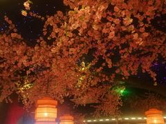 -荷塘秋月·本帮江浙菜(国权路店)